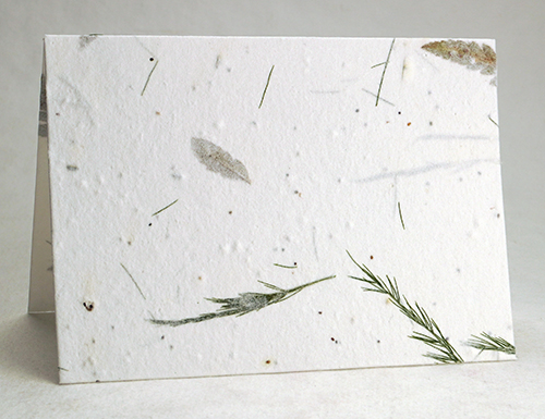 folding seed paper card with fern